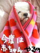 画像 2242.jpg