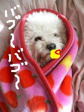 画像 2243.jpg