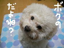 画像 2246.jpg