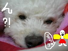 画像 2250.jpg