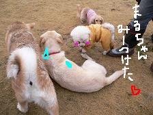 画像 2262.jpg