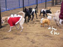 画像 2263.jpg
