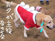 画像 2266.jpg