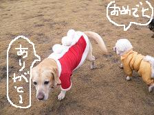 画像 2268.jpg