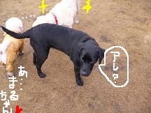 画像 2270.jpg