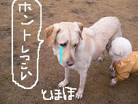 画像 2271.jpg