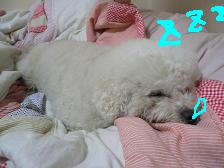 画像 2295.jpg