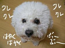 画像 2299.jpg
