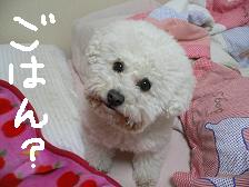 画像 2297.jpg