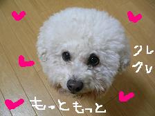画像 2307.jpg