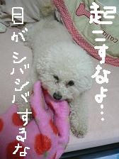 画像 2315.jpg