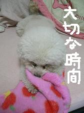 画像 2316.jpg