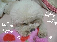 画像 2318.jpg