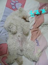 画像 2319.jpg