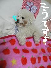 画像 2320.jpg