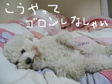 画像 2322.jpg