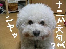 画像 2324.jpg