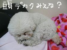 画像 2328.jpg