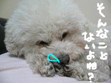 画像 2329.jpg