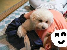 画像 2332.jpg