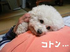画像 2333.jpg