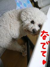 画像 2347.jpg