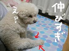 画像 2349.jpg