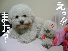 画像 2356.jpg