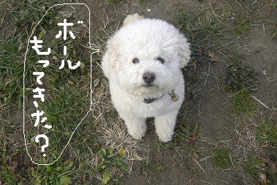 画像 304.jpg