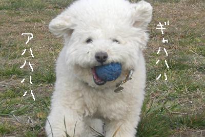 画像 308.jpg