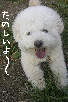 画像 313.jpg