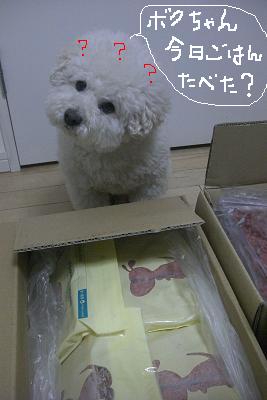 画像 318.jpg