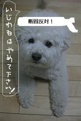 画像 319.jpg