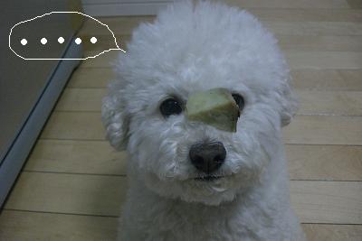画像 320.jpg