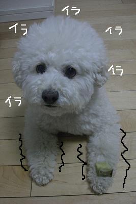 画像 321.jpg