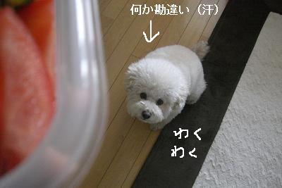 画像 323.jpg