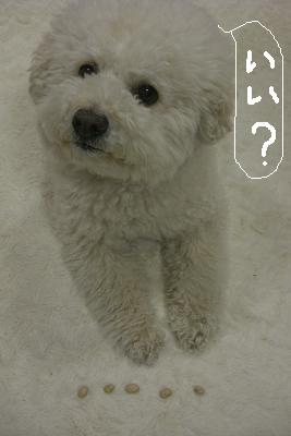 画像 327.jpg