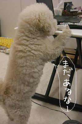 画像 330.jpg