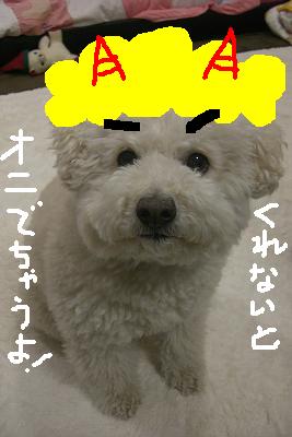 画像 331.jpg
