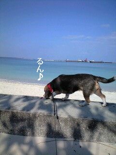 画像 333.jpg