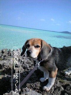 画像 335.jpg