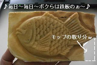 画像 337.jpg