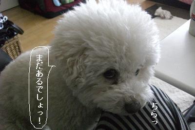 画像 339.jpg