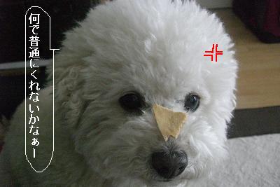 画像 341.jpg