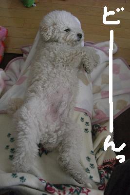 画像 342.jpg
