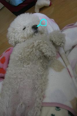 画像 343.jpg