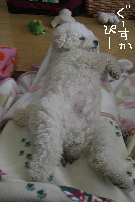 画像 347.jpg