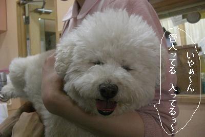 画像 353.jpg