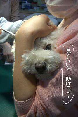 画像 357.jpg