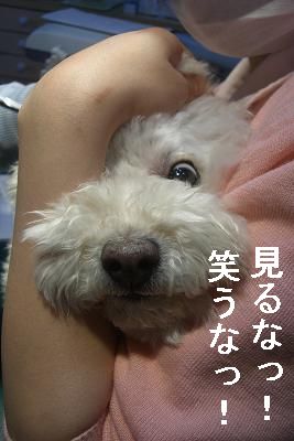 画像 359.jpg
